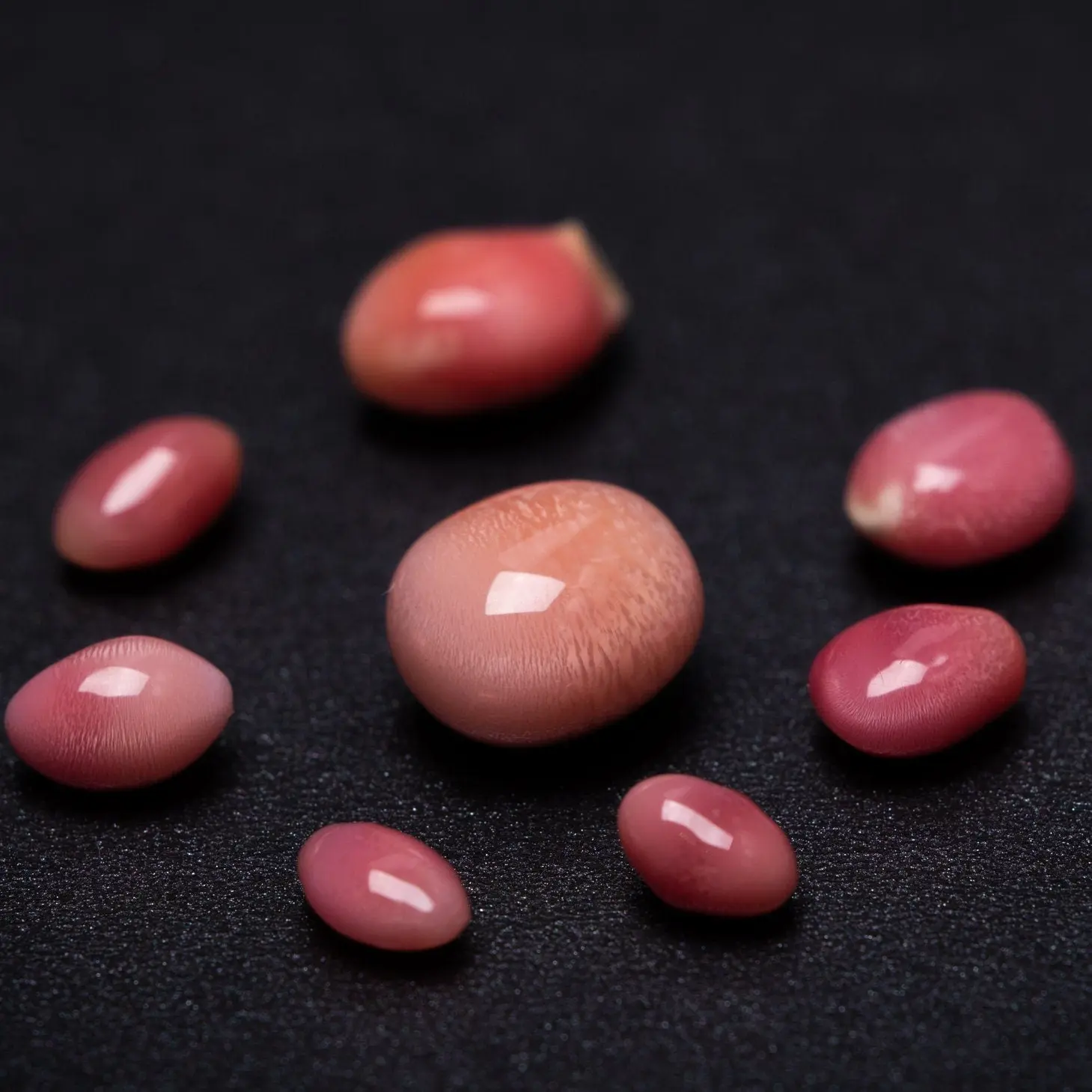 Queen Conch Pearl From Caribbean Sea, Pearls Strombus Gigas, Natural Queen Conch Pearl, Flamed Pink - Image 2